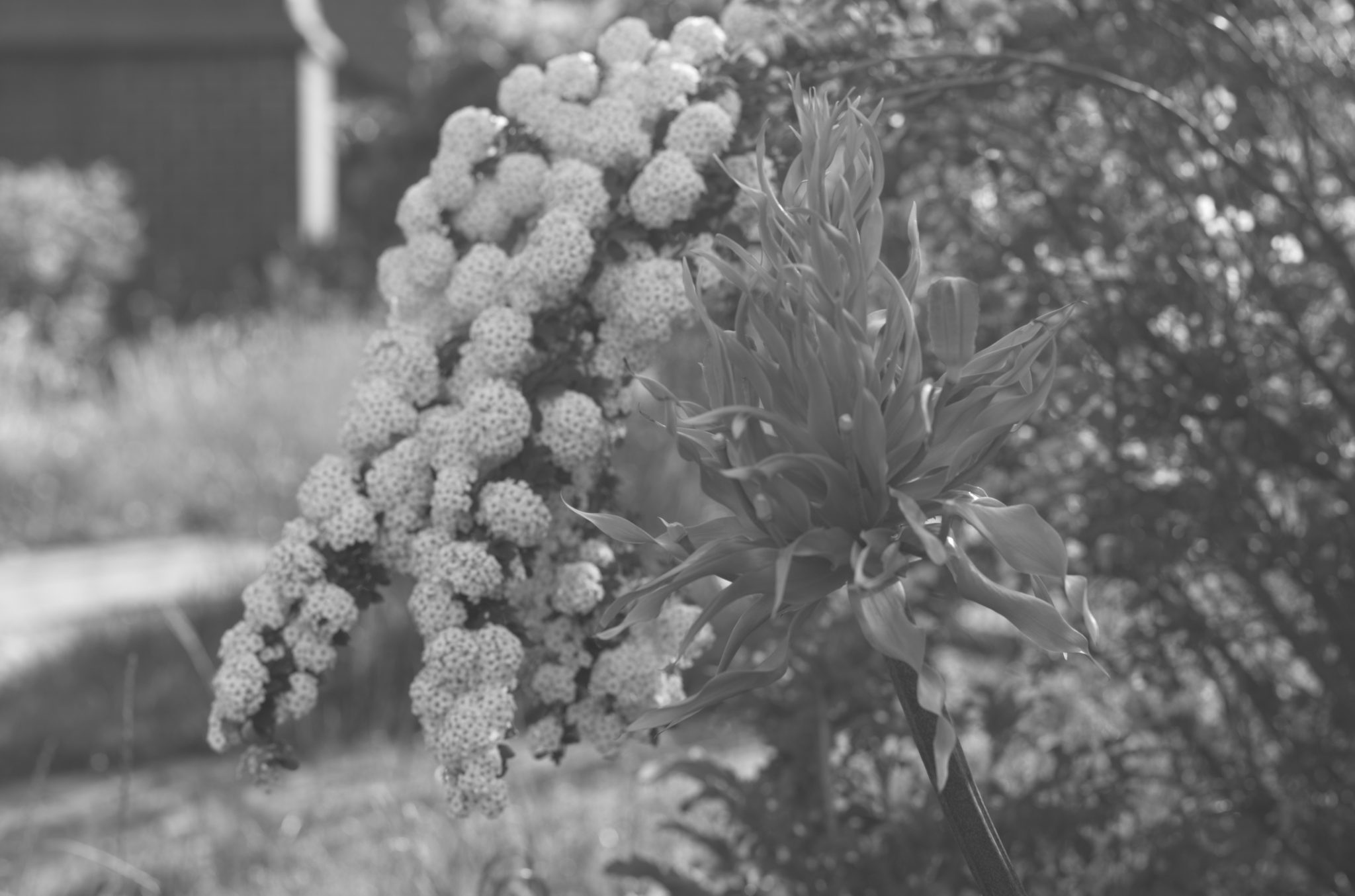 20210602  Gruen(t)raumHeimfeld 011